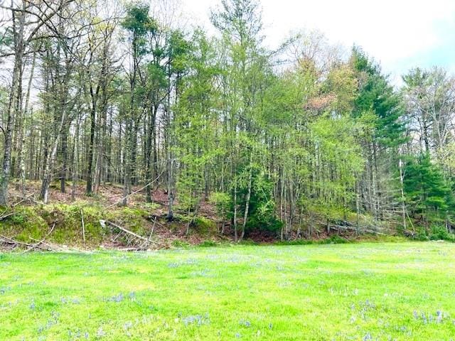 9 Thunder Hill Rd, Sparrowbush NY, 12780 land for sale