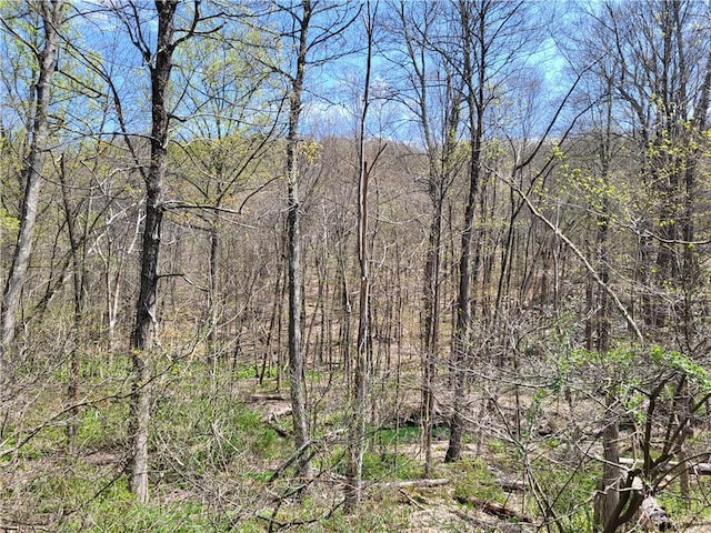 Eder Rd, Stormville NY, 12582 land for sale