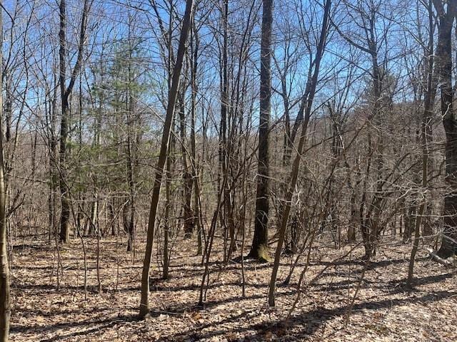 Amys Ln, Austerlitz NY, 12017 land for sale