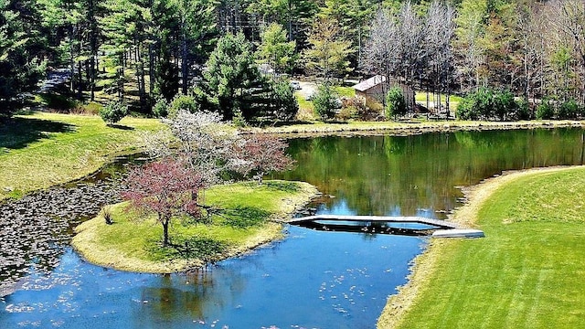 view of community featuring a water view