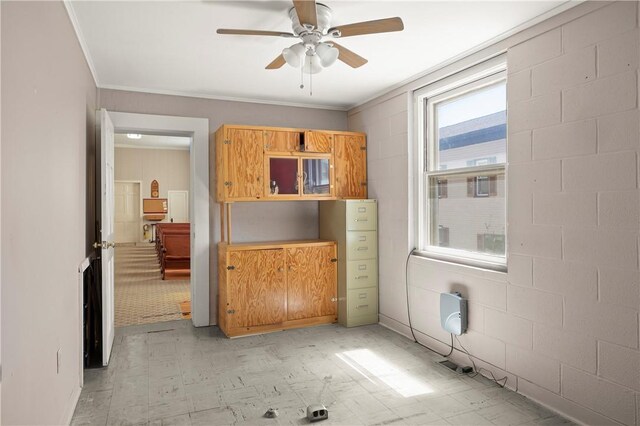 18 N Franklin St, Athens, NY 12015 - kitchen with light flooring, ceiling fan, crown molding, and concrete block wall