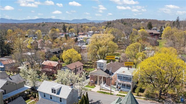18 N Franklin St, Athens, NY 12015 - aerial perspective of suburban area with a mountain backdrop