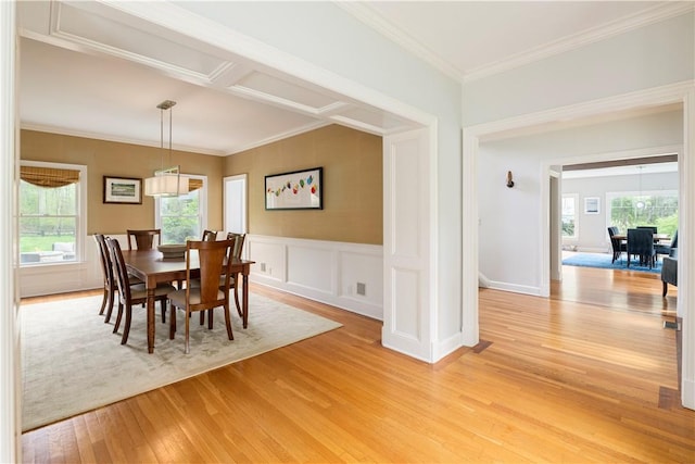 dining area with light hardwood / wood-style flooring, a healthy amount of sunlight, and crown molding