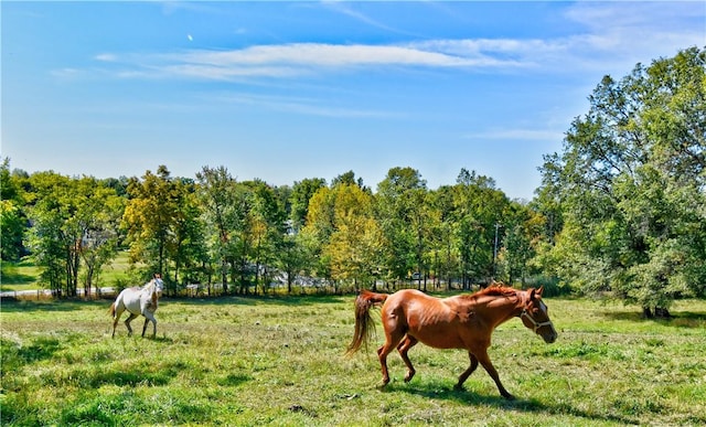 Listing photo 3 for 148 Coleman Rd, Goshen NY 10924