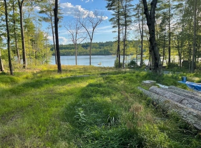 Lake View Dr, Highland Lake NY, 12743 land for sale