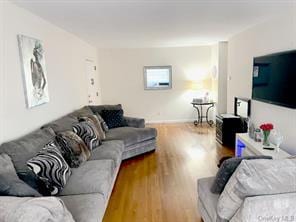 living room with hardwood / wood-style floors