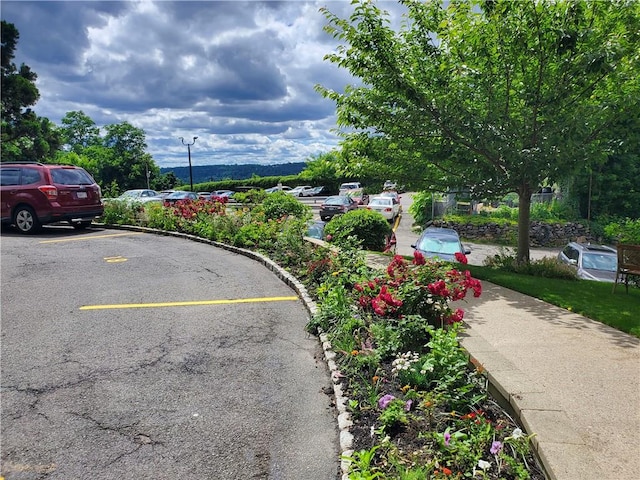 view of vehicle parking