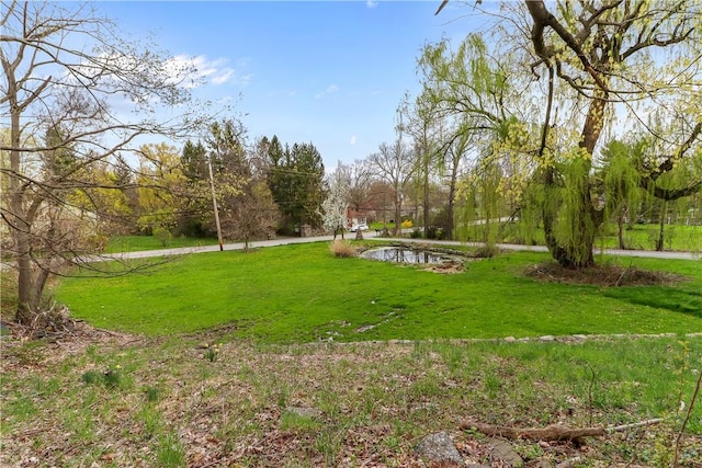 surrounding community featuring a yard