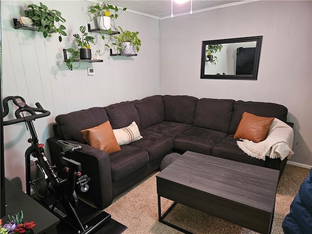 living room with crown molding