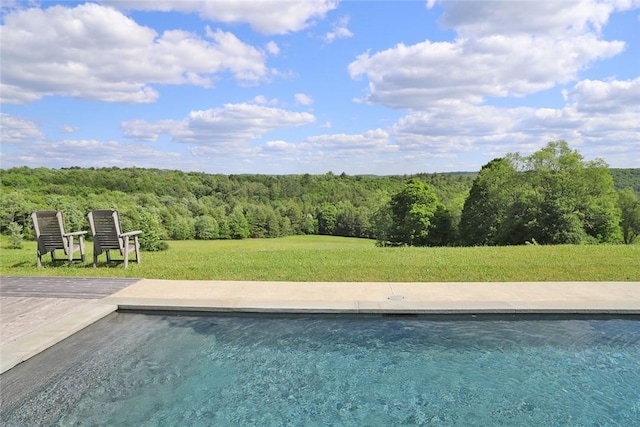 59 Overlook Dr, Callicoon, NY 12723 - photo 7