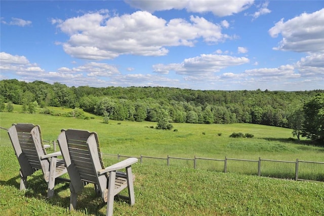 view of yard with a rural view