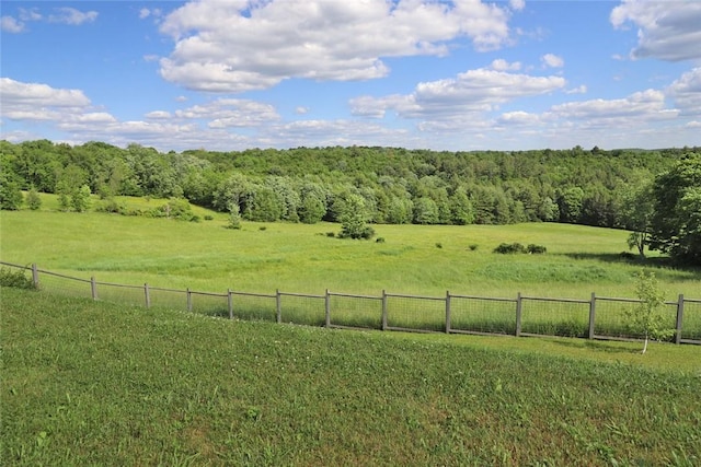 59 Overlook Dr, Callicoon, NY 12723 - photo 9