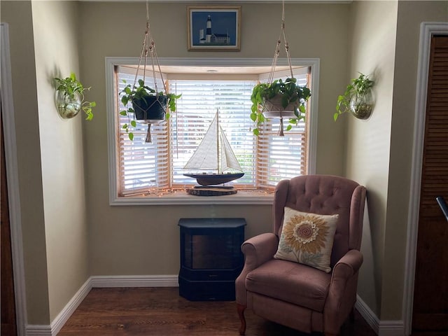 living area featuring dark hardwood / wood-style flooring