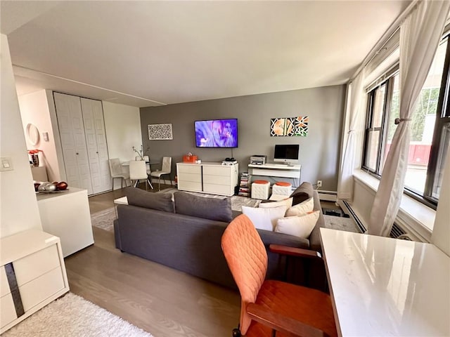 living room featuring wood-type flooring