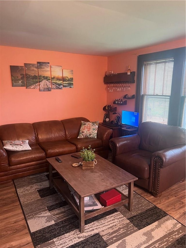 living room with wood-type flooring