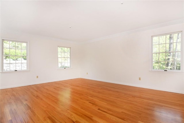 78 Oliphant Ave, Dobbs Ferry, NY 10522 - photo 11