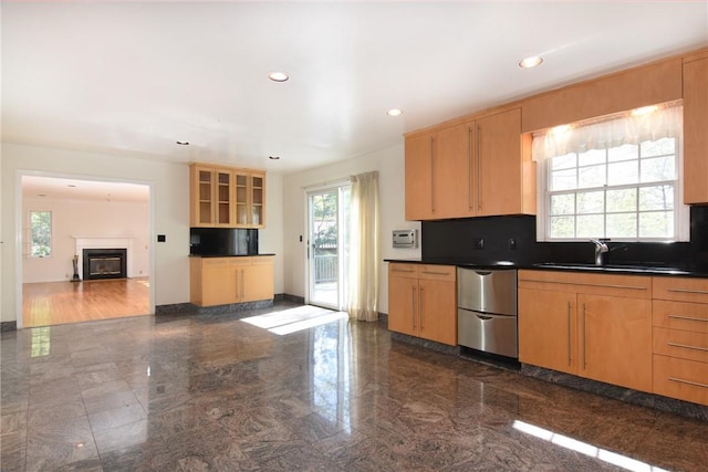 kitchen with backsplash, stainless steel dishwasher, and sink