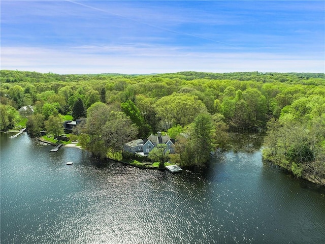 28 Heron Lake Rd, Bedford, NY 10506 - bird's eye view featuring a water view