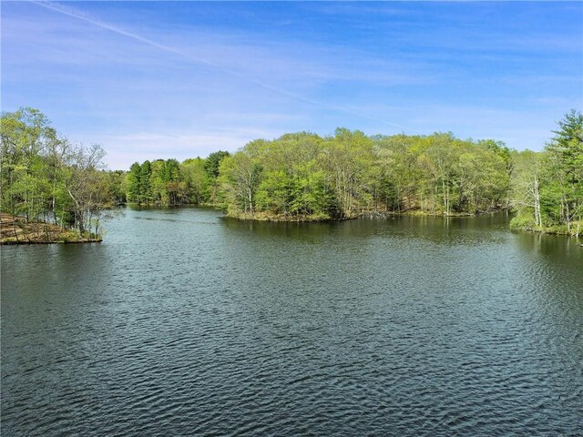 28 Heron Lake Rd, Bedford, NY 10506 - view of water feature