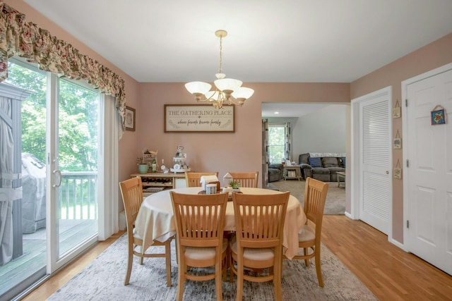 dining space featuring a chandelier, healthy amount of natural light, and light wood-type flooring