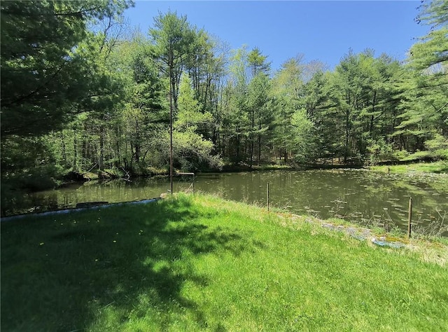 view of yard featuring a water view