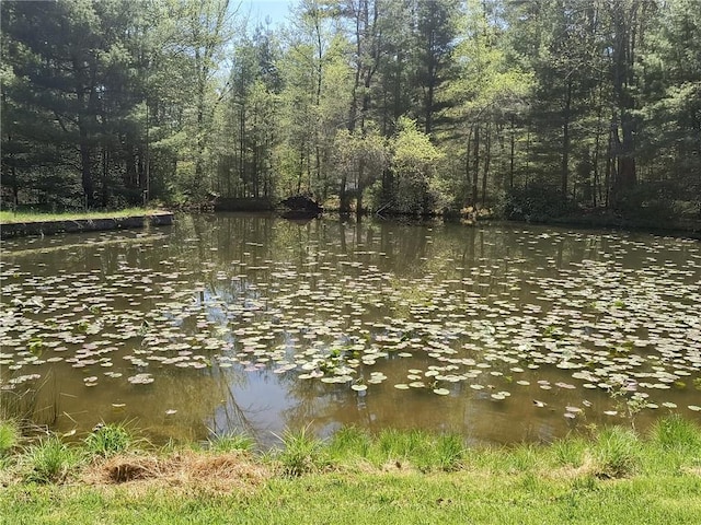 view of water feature