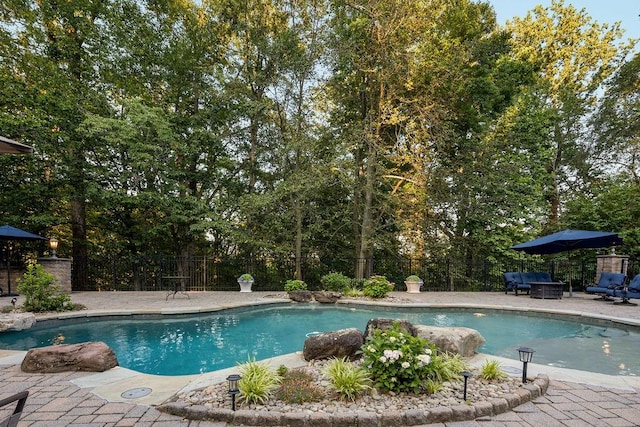 view of pool with a patio