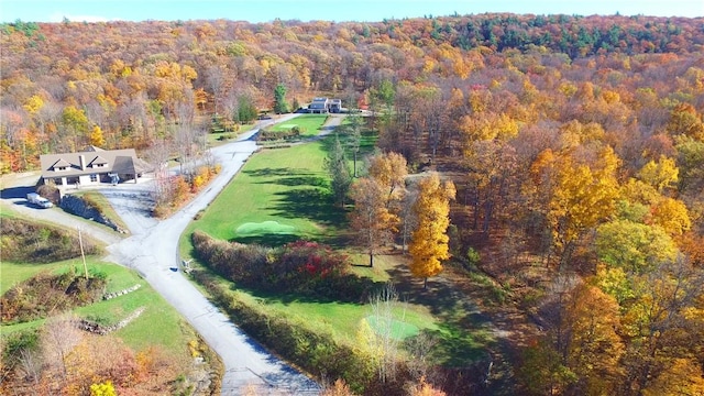 bird's eye view