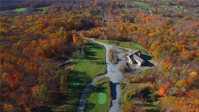 bird's eye view