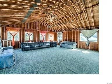 interior space featuring vaulted ceiling and a wealth of natural light