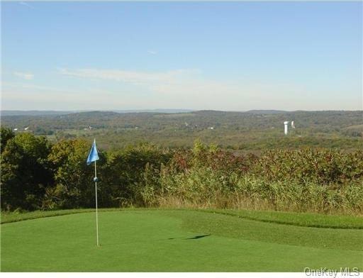 58 Strang Ln, Warwick, NY 10990 - photo 20