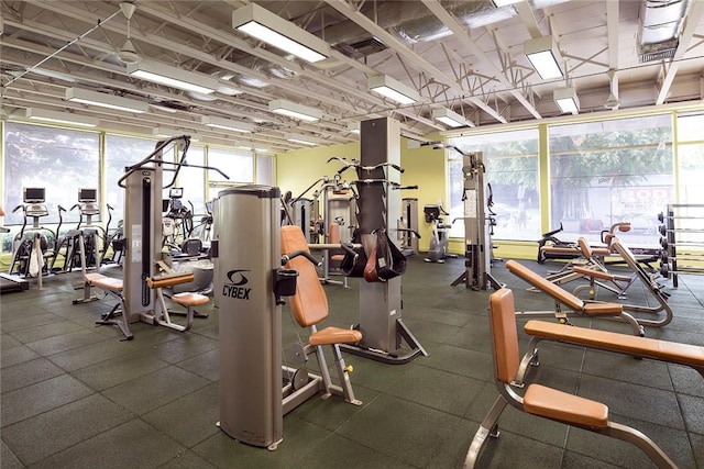 workout area featuring a healthy amount of sunlight