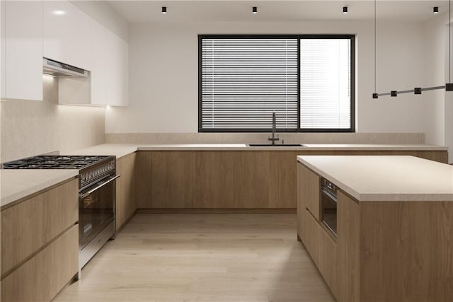 kitchen with exhaust hood, white cabinets, sink, light hardwood / wood-style flooring, and stainless steel appliances