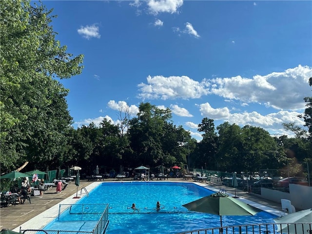 view of pool with a patio