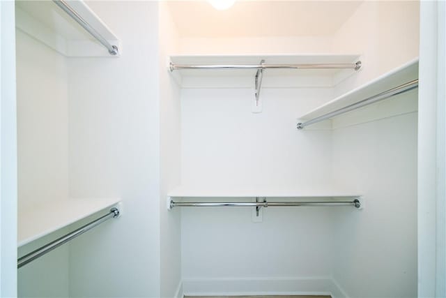 view of walk in closet