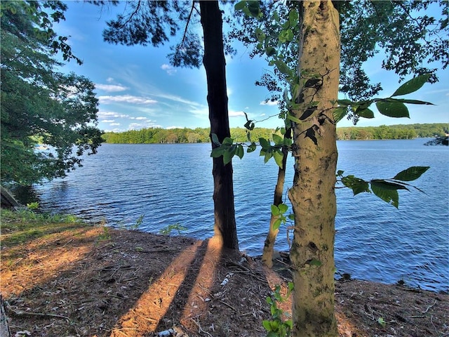 Listing photo 2 for TBD Woodstone Trail, White Lake NY 12786