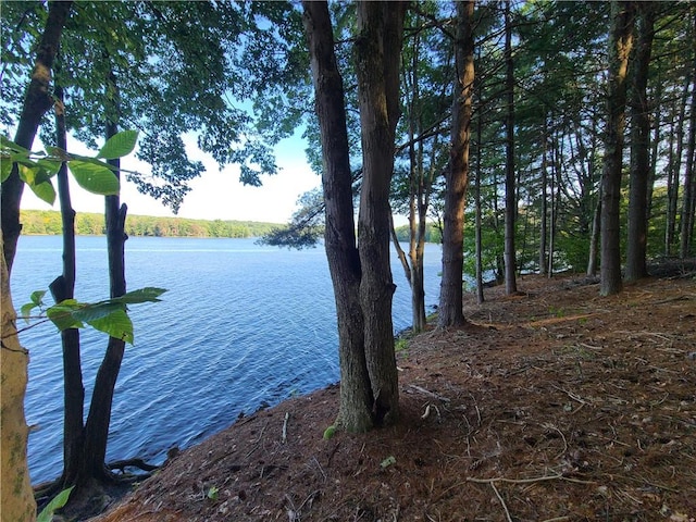 Listing photo 3 for TBD Woodstone Trail, White Lake NY 12786