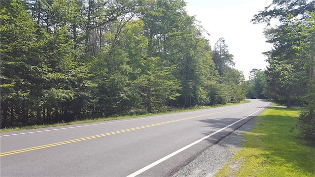 State Route 42, Grahamsville NY, 12740 land for sale