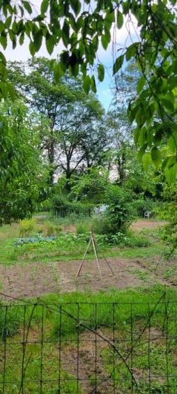 view of yard with a rural view