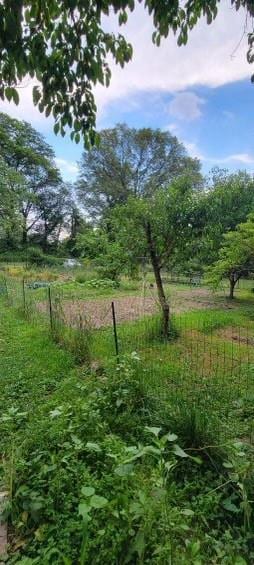 view of yard featuring a rural view