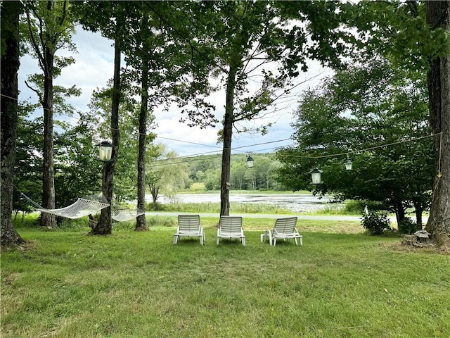 307 Beaver Lake Rd, Livingston Manor, NY 12758 - view of grassy yard with a water view