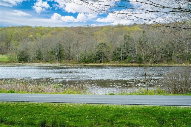 307 Beaver Lake Rd, Livingston Manor, NY 12758 - water view with a forest