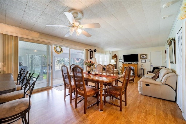 dining area with light hardwood / wood-style floors and ceiling fan