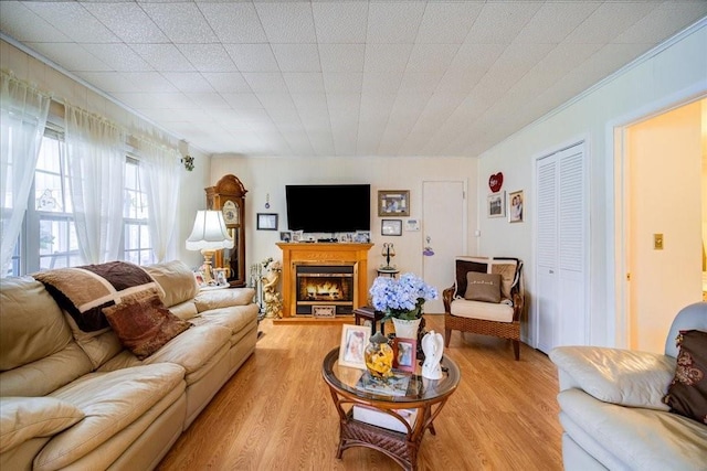 307 Beaver Lake Rd, Livingston Manor, NY 12758 - living room with ornamental molding, light wood finished floors, and a lit fireplace