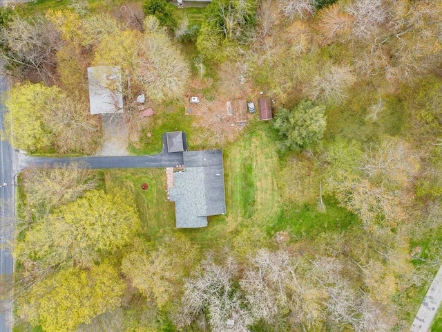 307 Beaver Lake Rd, Livingston Manor, NY 12758 - drone / aerial view