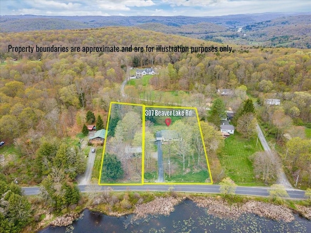 307 Beaver Lake Rd, Livingston Manor, NY 12758 - aerial view of property's location with a heavily wooded area and property parcel outlined