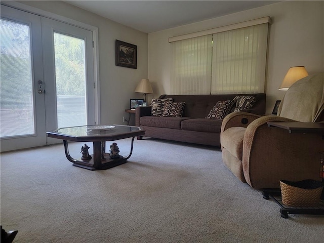 45 Riverdale Dr, Wingdale, NY 12594 - photo 12