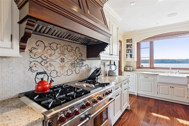 33 Livingston Ave, Dobbs Ferry, NY 10522 - kitchen featuring high end range, premium range hood, a sink, backsplash, and light stone counters