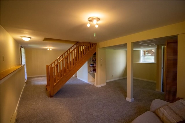 basement featuring carpet