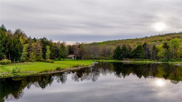 property view of water